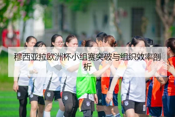 mu-xi-ya-la-ou-zhou-bei-xiao-zu-sai-tu-po-yu-zu-zhi-xiao-lv-pou-xi-2-175.jpg